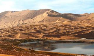 骆驼的两层睫毛有什么用处 骆驼有几层眼睫毛?