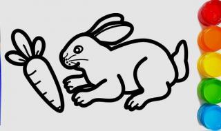 小白兔,笔画 新手画小白兔怎么画