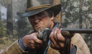 荒野大镖客2什么时候去兄妹银行 荒野大镖客2兄妹夫妻