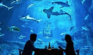 上海哪里有蹦极的地方啊 上海哪里有蹦极