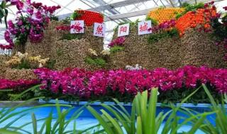 求助~！皇城相府的皇帝登基表演是几点开始的门票现在多少钱 皇城相府门票多少钱