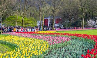 杭州公交待遇 杭州最帅公交车司机